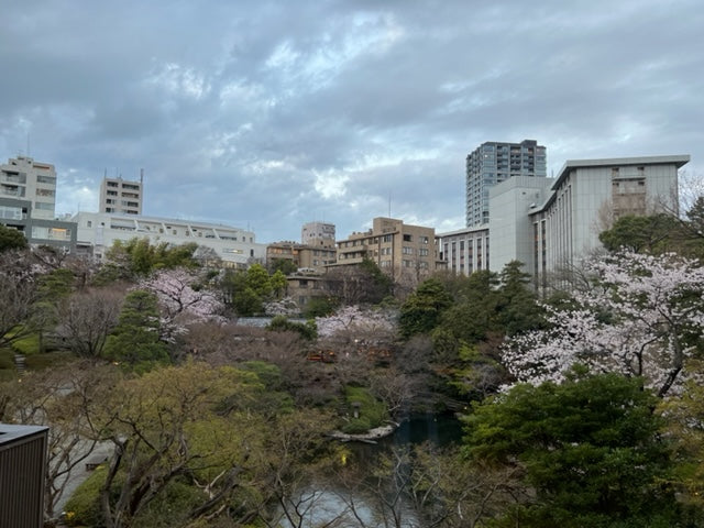桜が満開の季節になりました。